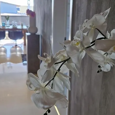 Exklusives Design-penthouse Mc1